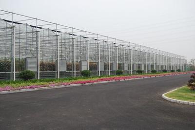 玻璃温室大棚通风换气方法与种植优势详解