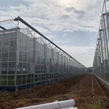高品质温室大棚领军者——常熟市中天温室大棚制造厂
