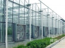 常熟市中天温室大棚制造厂 专业打造高效环保的玻璃温室大棚