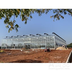云南植物工厂化育苗玻璃温室大棚 4米高双层钢化玻璃型7000平方建设方案解析