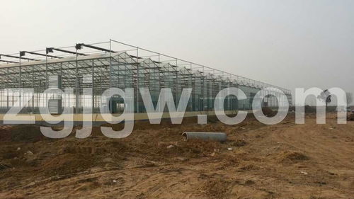 邯郸温室大棚骨骼制造与配件采买实务解析