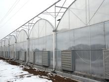 青海宁夏温室大棚设计制造专家 黄河金属制品厂为您量身定制高效生态农业解决方案