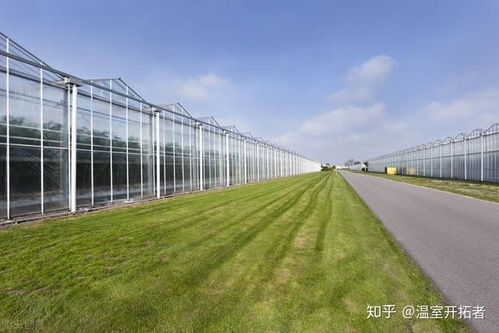 全玻璃温室大棚建造规范与必备条件详解