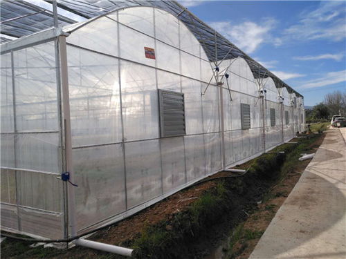以诚建棚 蔬菜温室大棚与玻璃温室大棚建造企业的特质与价值