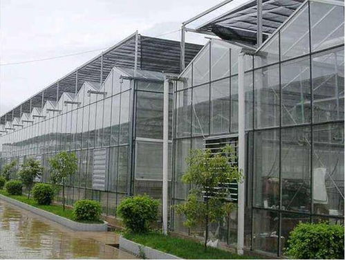 智能玻璃温室建设重点问题清单 从规划到成本的全流程指南